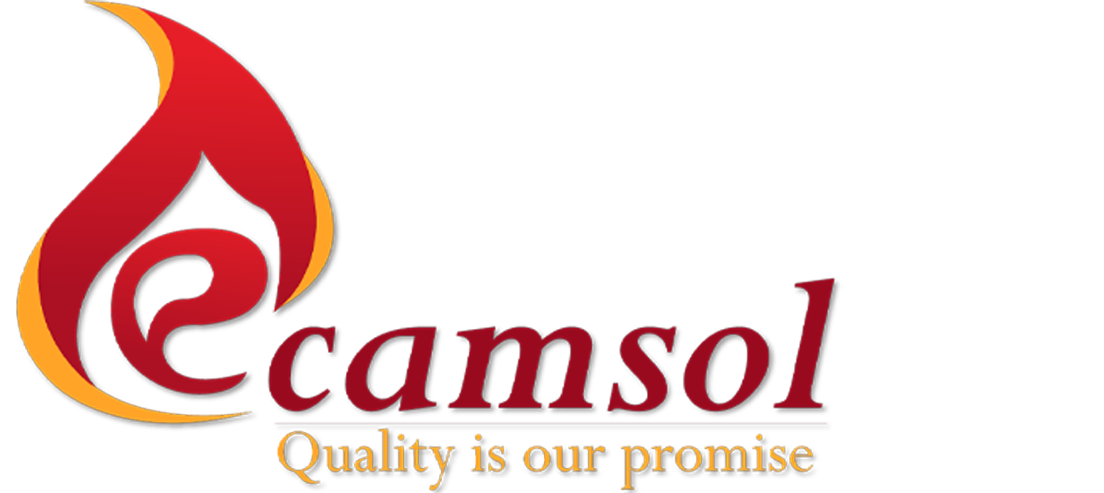 online ca services - camsol advisory